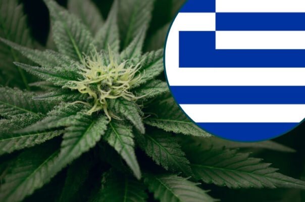 How Cannabis is Changing in Greece