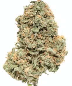 Buy Strawberry Cough Weed Athens