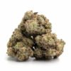 Buy Godzilla Glue Strain Online