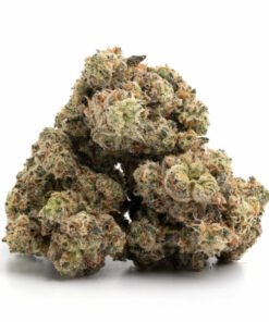 Buy Godzilla Glue Strain Online