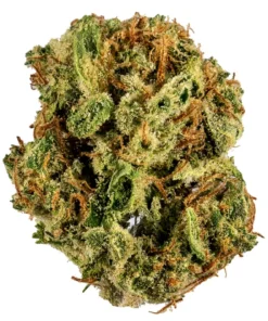 Buy Gumbo Strain online Athens