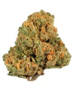 Buy Jack Herer Strain Athens Greece