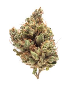 Buy Platinum OG Strain Online Athens