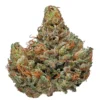 Buy Master Kush Strain Online Athens