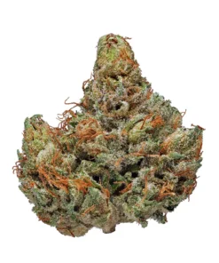 Buy Master Kush Strain Online Athens