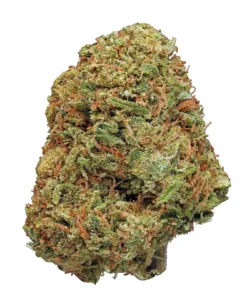 Northern Lights weed