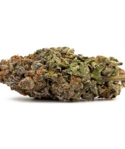 Buy Blueberry Strain Online in Athens