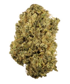 Buy Durban Poison Strain in Athens Greece