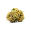 Buy Dolato Strain Online in Athens