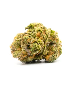 Buy Dolato Strain Online in Athens
