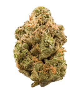 Buy Girl Scout Cookies Strain Online in Athens