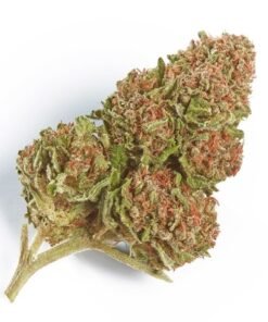 Buy Northern Lights Strain Online Athens