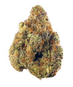 Buy Hindu Kush Strain Online in Athens