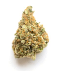 Buy Donny Burger Strain Online in Athens